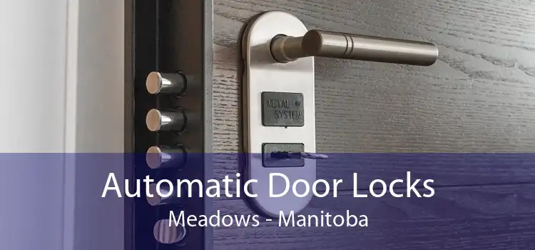 Automatic Door Locks Meadows - Manitoba