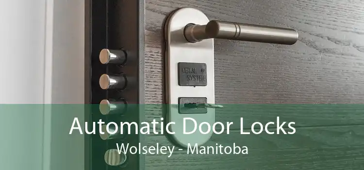 Automatic Door Locks Wolseley - Manitoba