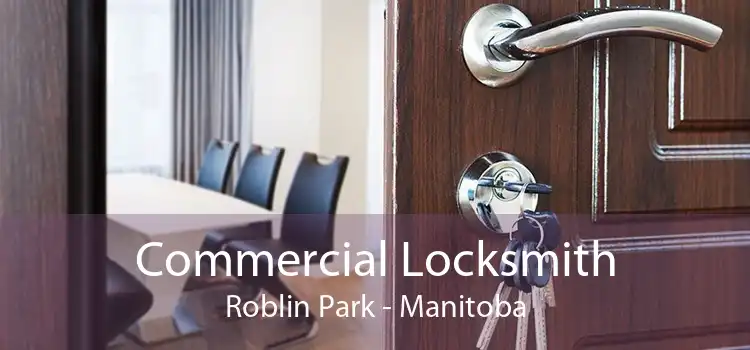 Commercial Locksmith Roblin Park - Manitoba