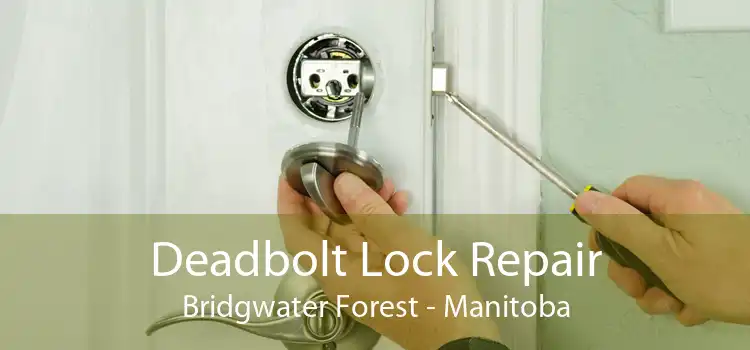 Deadbolt Lock Repair Bridgwater Forest - Manitoba