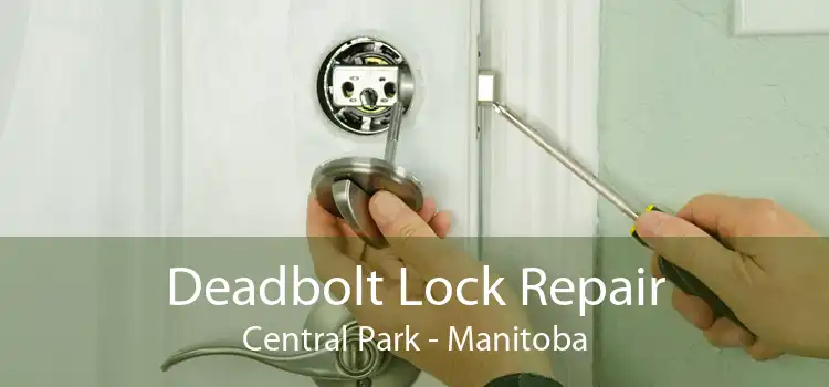 Deadbolt Lock Repair Central Park - Manitoba