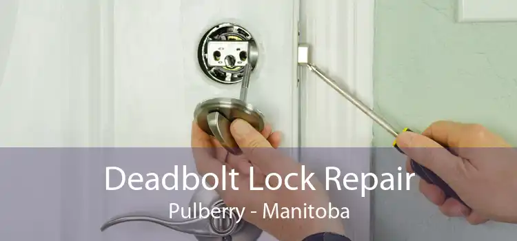 Deadbolt Lock Repair Pulberry - Manitoba
