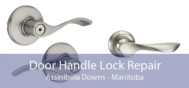 Door Handle Lock Repair Assiniboia Downs - Manitoba