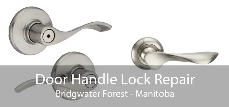 Door Handle Lock Repair Bridgwater Forest - Manitoba