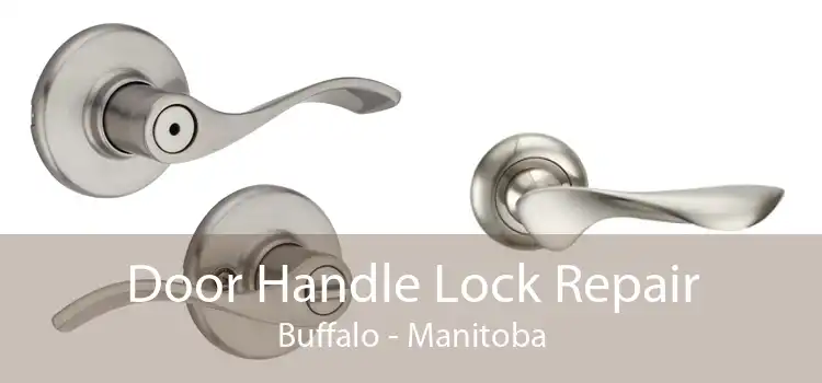 Door Handle Lock Repair Buffalo - Manitoba
