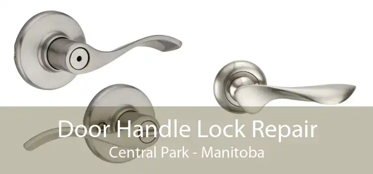 Door Handle Lock Repair Central Park - Manitoba