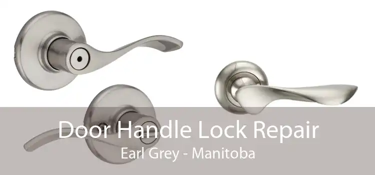 Door Handle Lock Repair Earl Grey - Manitoba