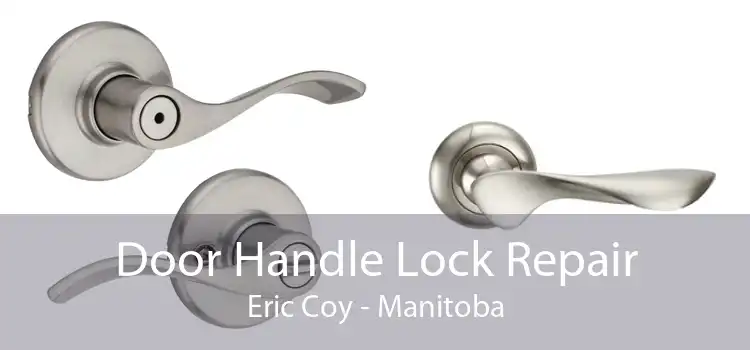 Door Handle Lock Repair Eric Coy - Manitoba