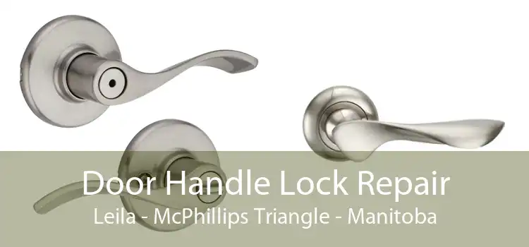 Door Handle Lock Repair Leila - McPhillips Triangle - Manitoba