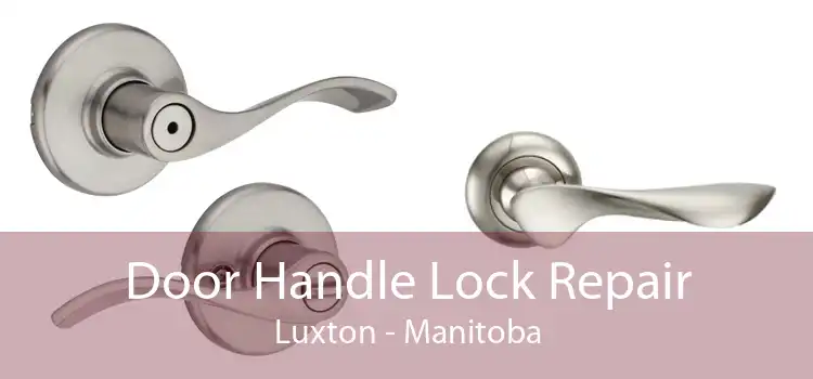 Door Handle Lock Repair Luxton - Manitoba