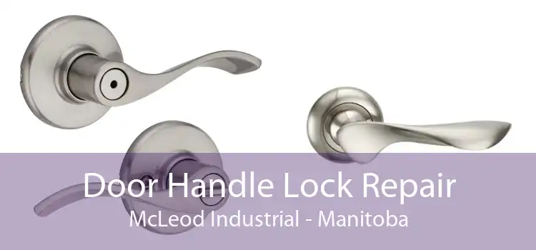 Door Handle Lock Repair McLeod Industrial - Manitoba