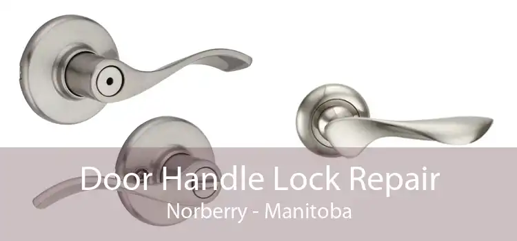 Door Handle Lock Repair Norberry - Manitoba