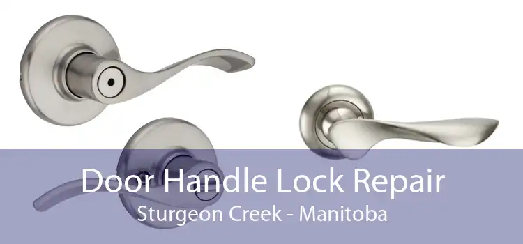 Door Handle Lock Repair Sturgeon Creek - Manitoba