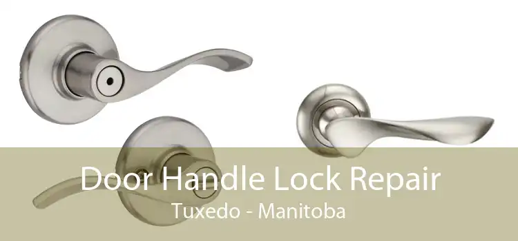 Door Handle Lock Repair Tuxedo - Manitoba