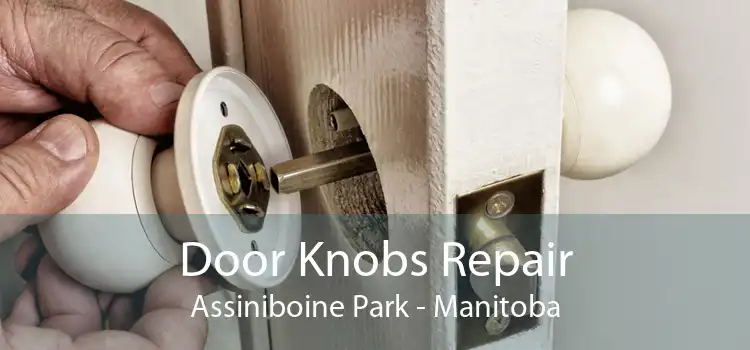 Door Knobs Repair Assiniboine Park - Manitoba