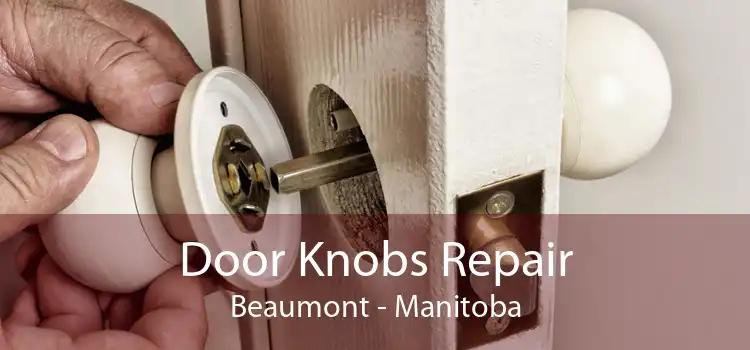 Door Knobs Repair Beaumont - Manitoba