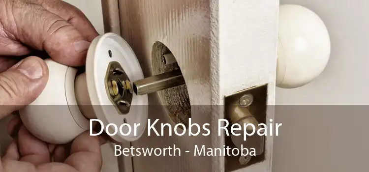 Door Knobs Repair Betsworth - Manitoba