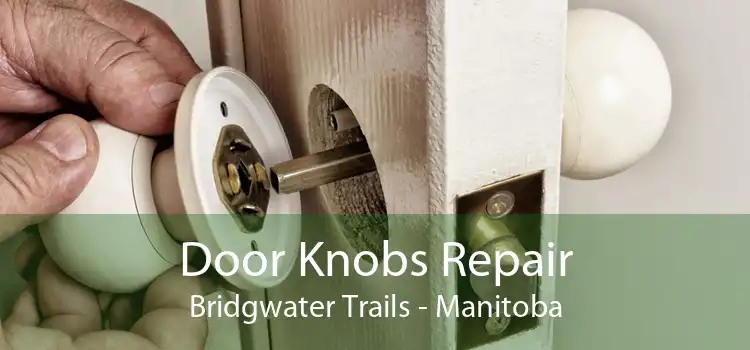 Door Knobs Repair Bridgwater Trails - Manitoba