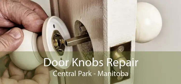 Door Knobs Repair Central Park - Manitoba