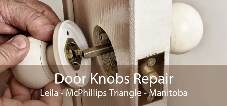 Door Knobs Repair Leila - McPhillips Triangle - Manitoba