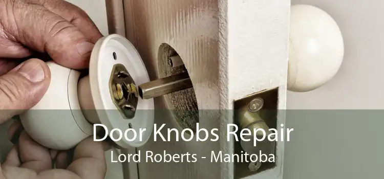 Door Knobs Repair Lord Roberts - Manitoba
