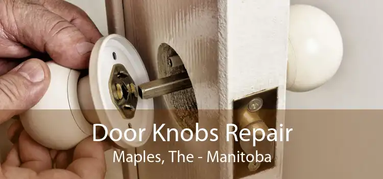 Door Knobs Repair Maples, The - Manitoba