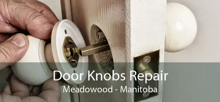 Door Knobs Repair Meadowood - Manitoba