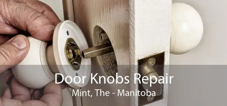 Door Knobs Repair Mint, The - Manitoba