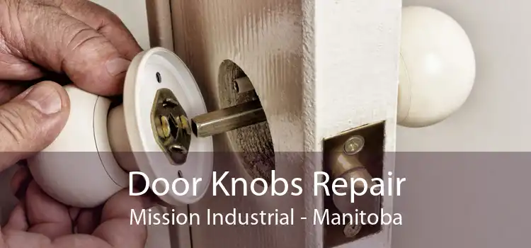 Door Knobs Repair Mission Industrial - Manitoba