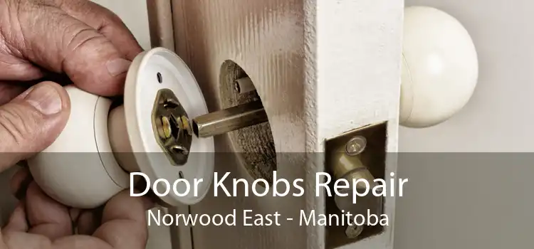 Door Knobs Repair Norwood East - Manitoba