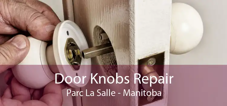 Door Knobs Repair Parc La Salle - Manitoba