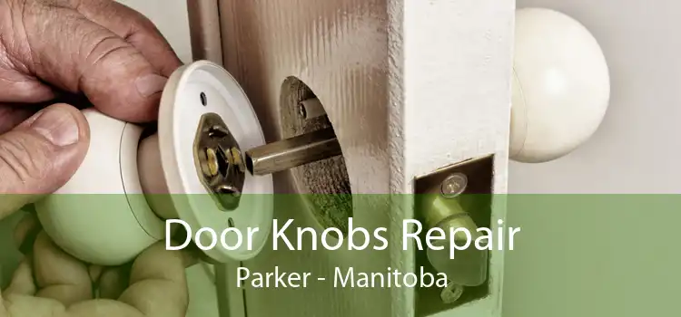 Door Knobs Repair Parker - Manitoba