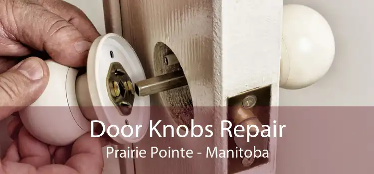 Door Knobs Repair Prairie Pointe - Manitoba