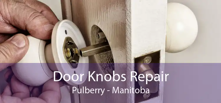 Door Knobs Repair Pulberry - Manitoba