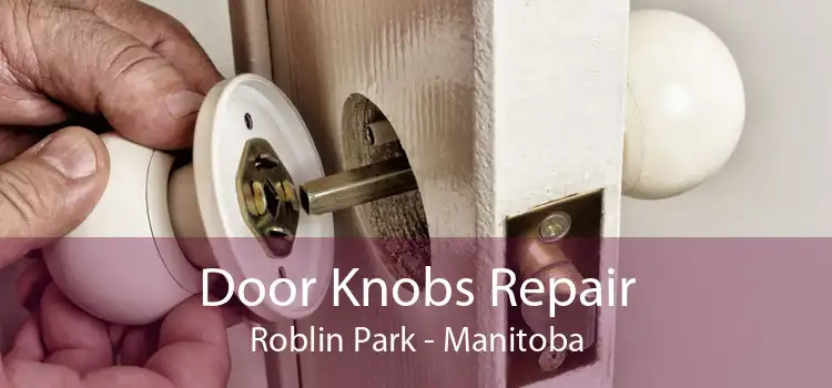Door Knobs Repair Roblin Park - Manitoba