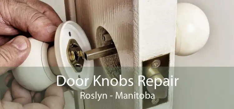 Door Knobs Repair Roslyn - Manitoba