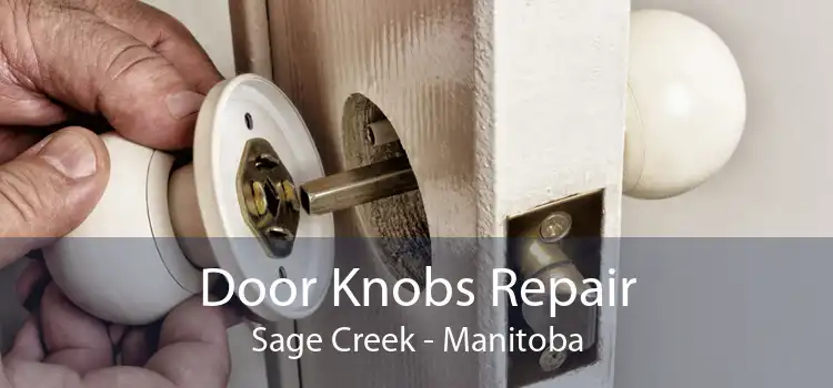 Door Knobs Repair Sage Creek - Manitoba