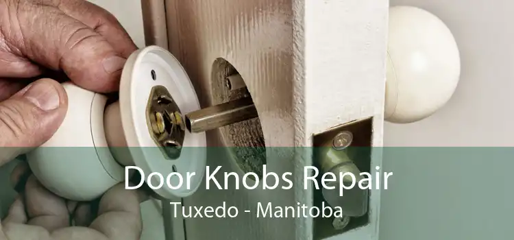 Door Knobs Repair Tuxedo - Manitoba