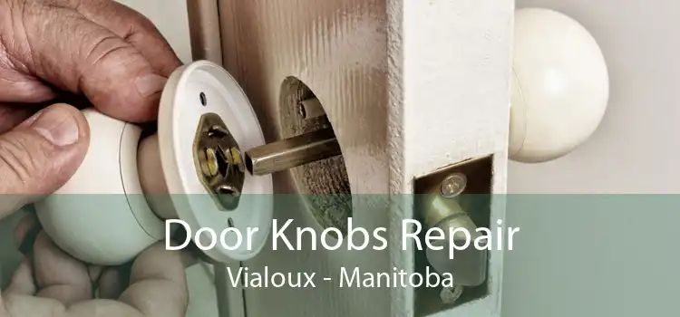 Door Knobs Repair Vialoux - Manitoba