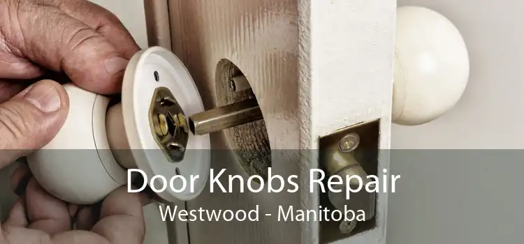 Door Knobs Repair Westwood - Manitoba