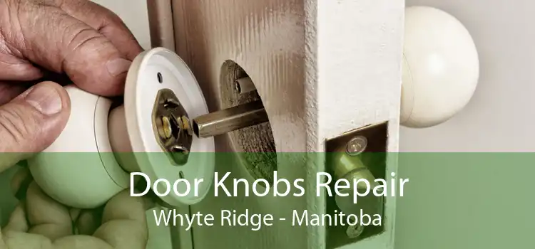 Door Knobs Repair Whyte Ridge - Manitoba