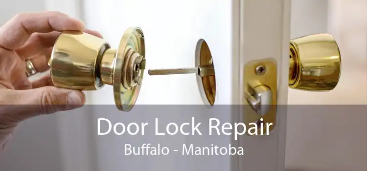 Door Lock Repair Buffalo - Manitoba