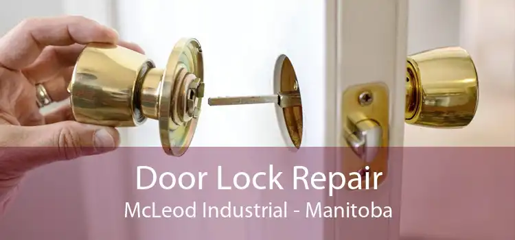 Door Lock Repair McLeod Industrial - Manitoba
