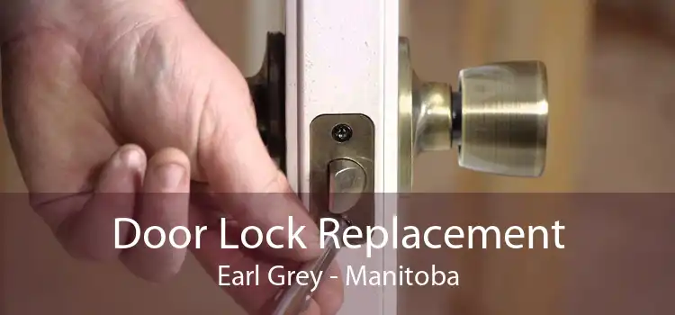 Door Lock Replacement Earl Grey - Manitoba