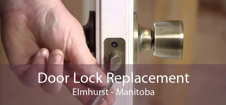 Door Lock Replacement Elmhurst - Manitoba