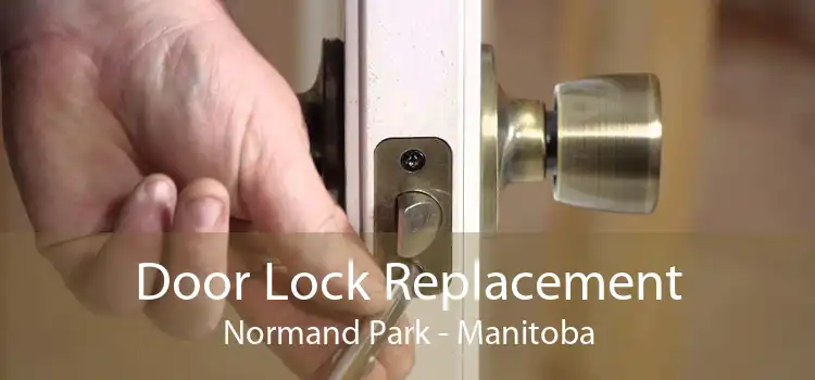 Door Lock Replacement Normand Park - Manitoba