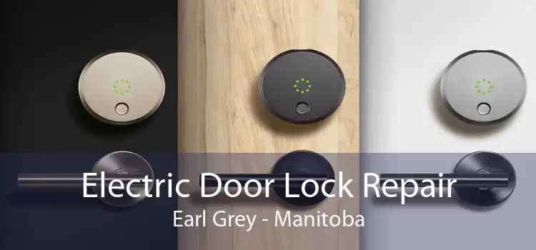 Electric Door Lock Repair Earl Grey - Manitoba