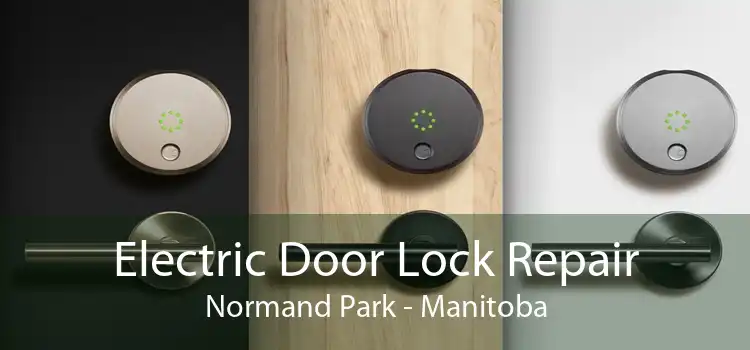 Electric Door Lock Repair Normand Park - Manitoba