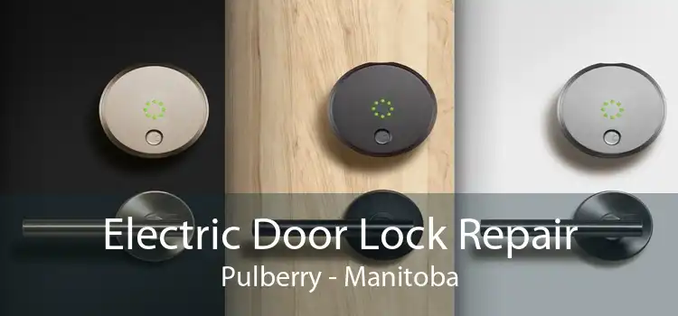 Electric Door Lock Repair Pulberry - Manitoba