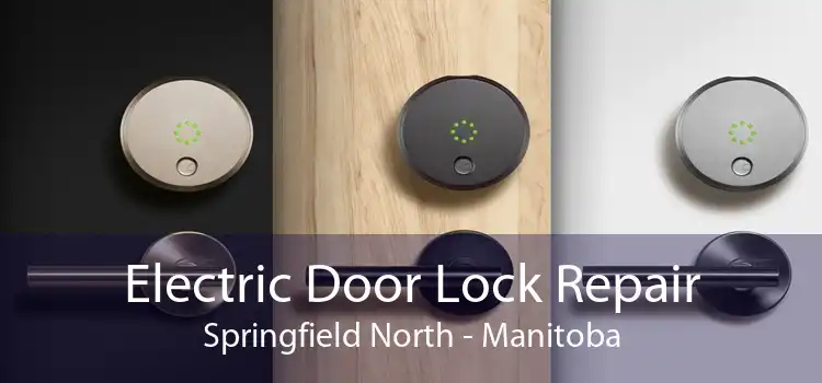 Electric Door Lock Repair Springfield North - Manitoba